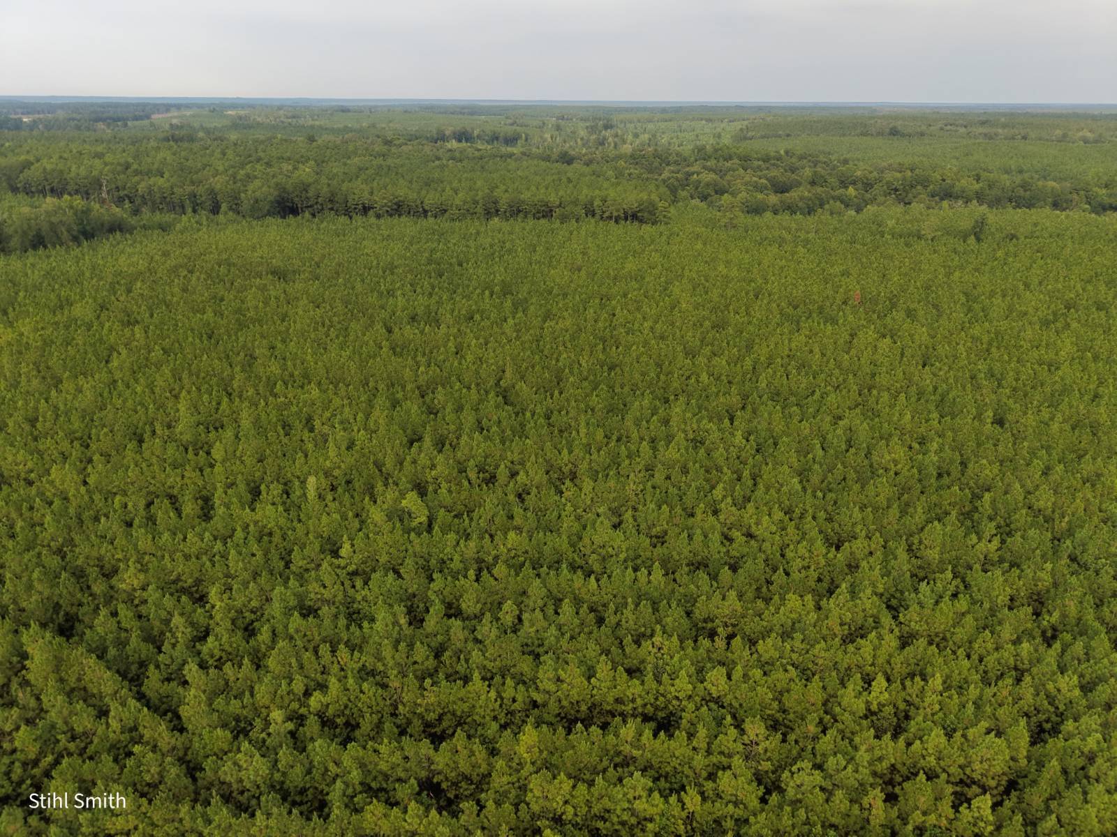 Photo 4 of 10 of land for sale at 000 T.B.D., Sikes, LA 71473