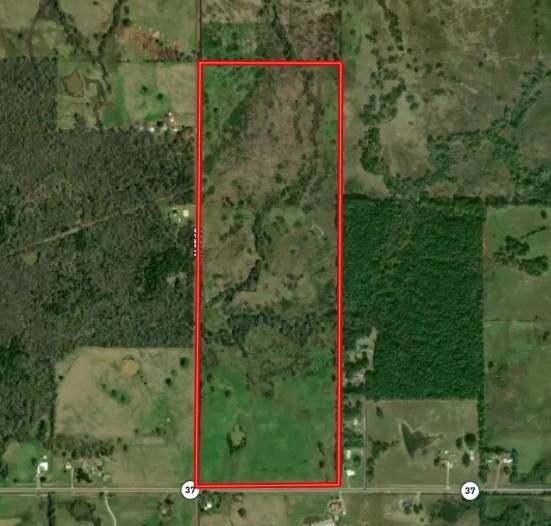 120-Acre Hunting Land for Sale, McCurtain County, OK, photo 3 of 19