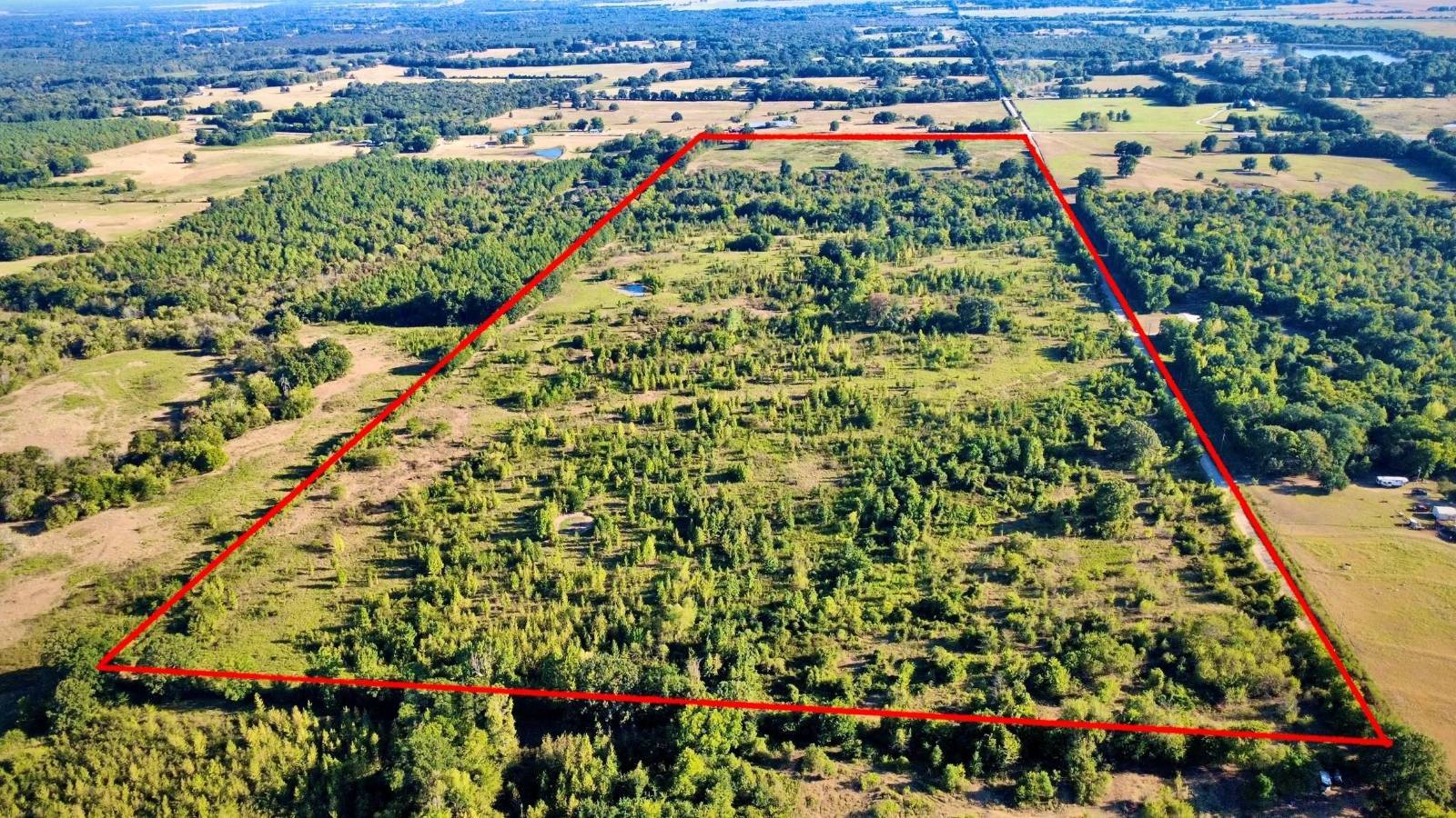 120-Acre Hunting Land for Sale, McCurtain County, OK, photo 2 of 19