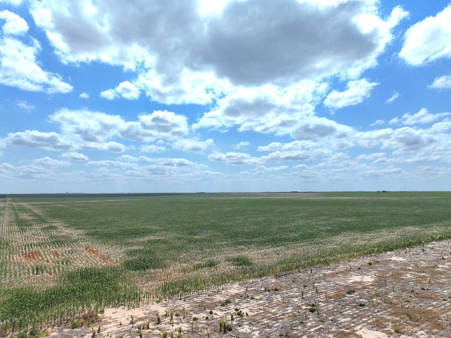 Photo 5 of 9 of land for sale at 000 CO RD, Edson, KS 67733