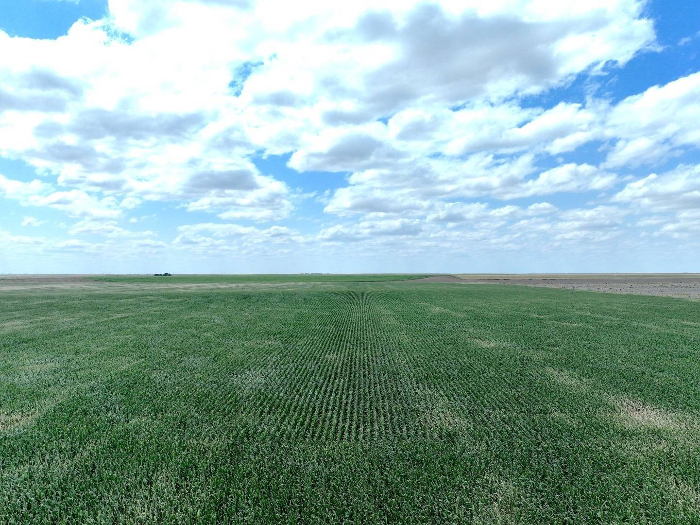 Photo 1 of 9 of land for sale at 000 CO RD, Edson, KS 67733