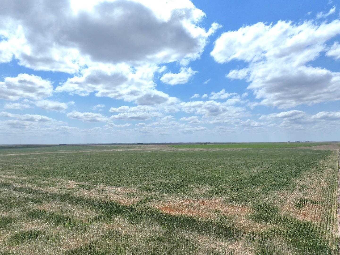 Photo 3 of 9 of land for sale at 000 CO RD, Edson, KS 67733