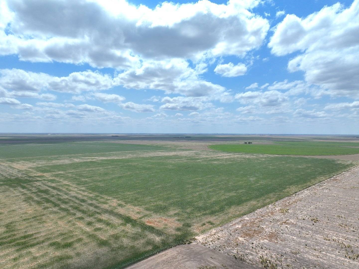 Photo 2 of 9 of land for sale at 000 CO RD, Edson, KS 67733