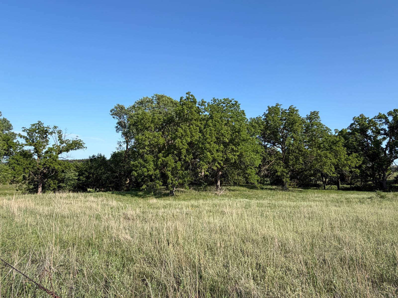 Photo 4 of 5 of land listing at Rural 881 Rd, Verdigre, NE 68783