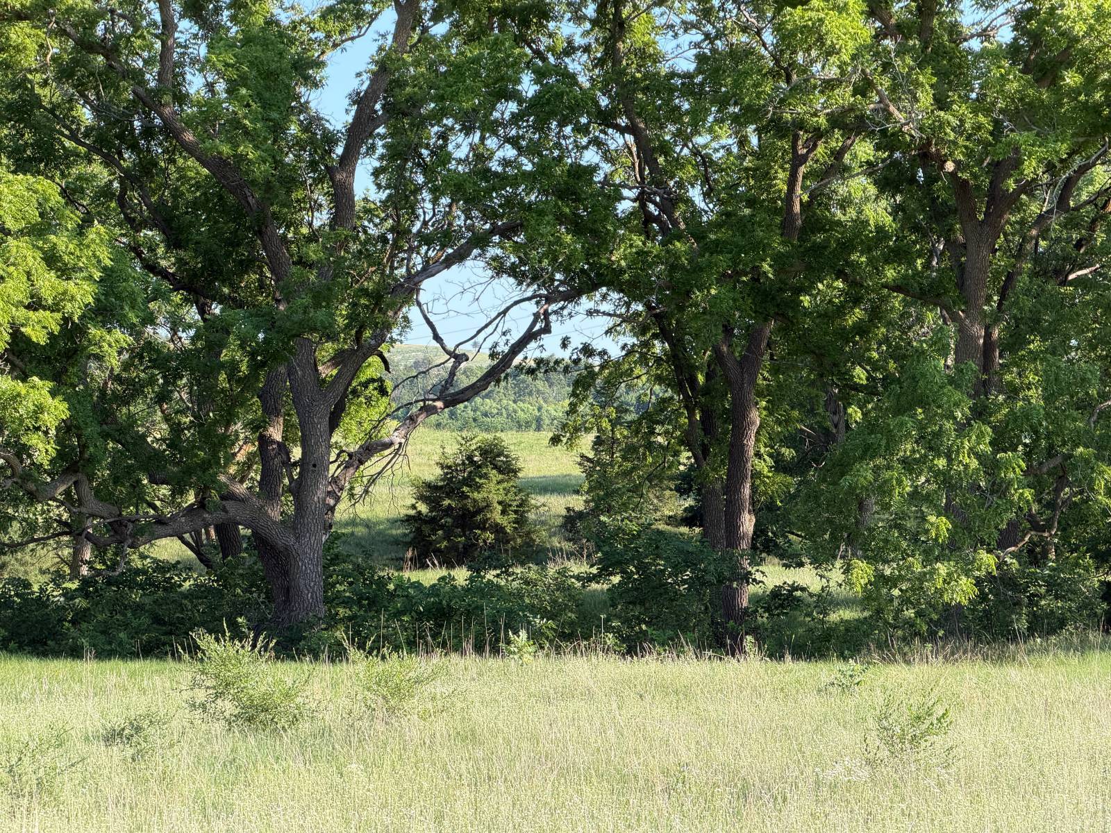 Photo 3 of 5 of land listing at Rural 881 Rd, Verdigre, NE 68783