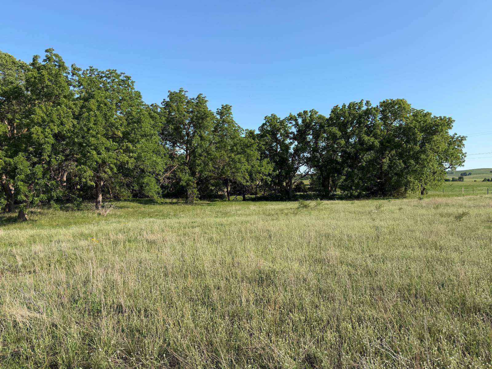 Photo 2 of 5 of land listing at Rural 881 Rd, Verdigre, NE 68783