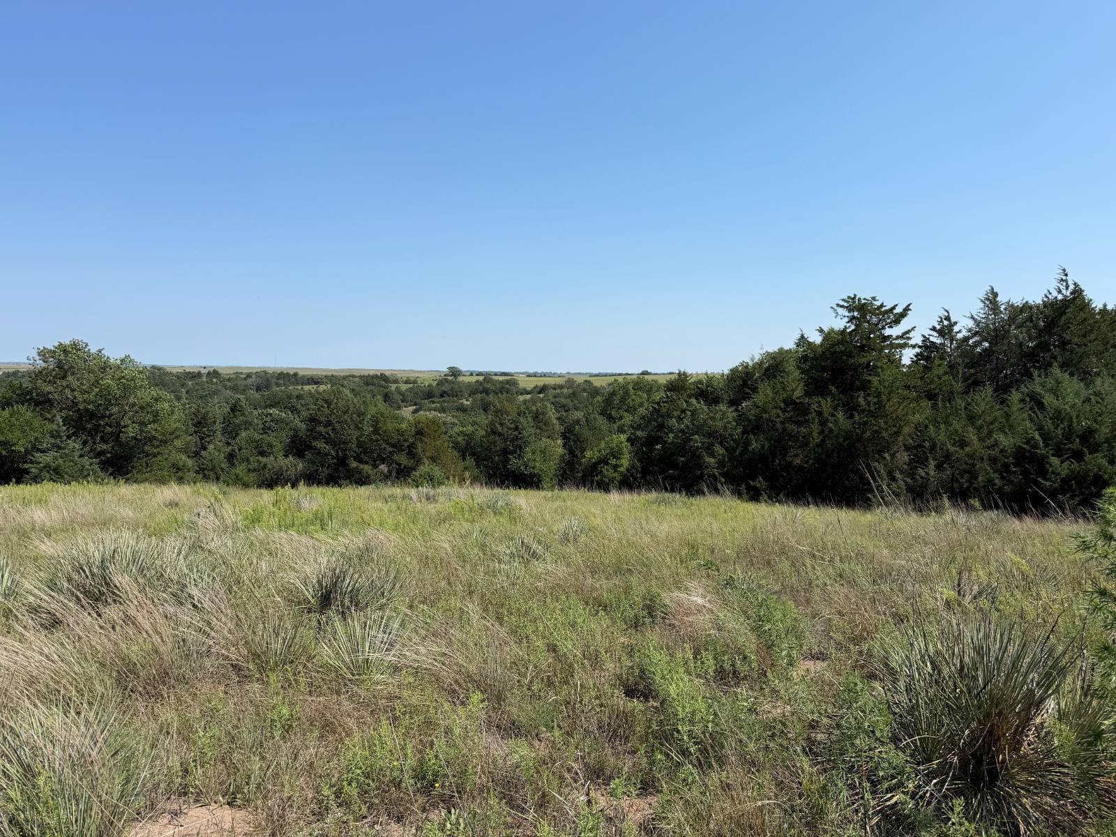 Photo 6 of 60 of home listing at 88525 518 Ave, Verdigre, NE 68783