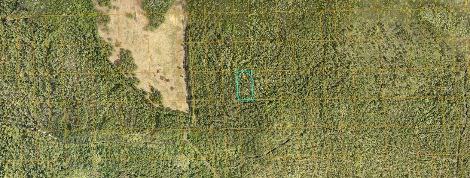 0 No Street, DELAND, FL 32724