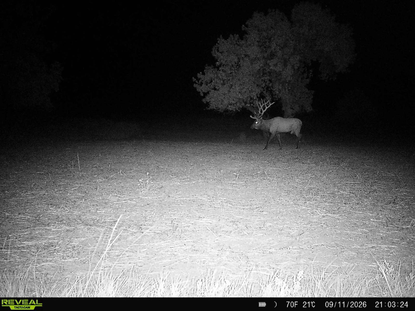 339-Acre Hunting Land for Sale, Lyman County, SD, photo 3 of 97