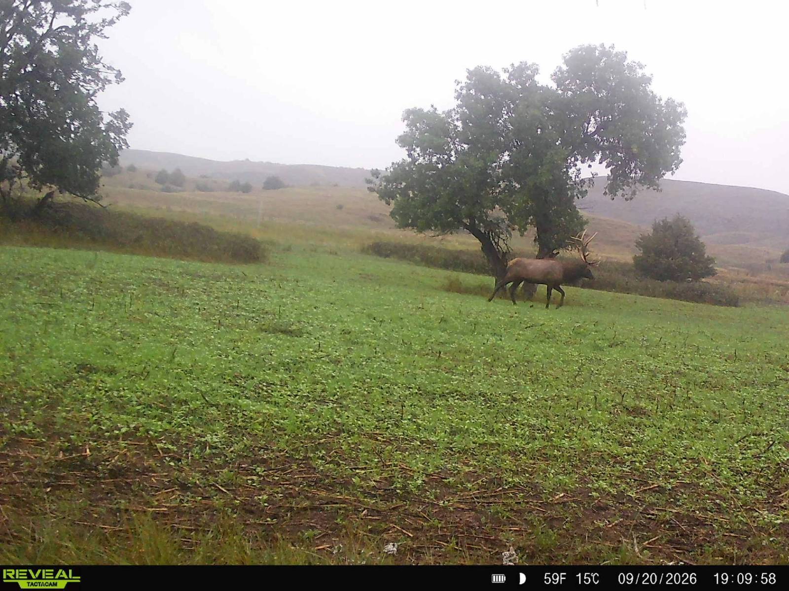 339-Acre Hunting Land for Sale, Lyman County, SD, photo 2 of 97