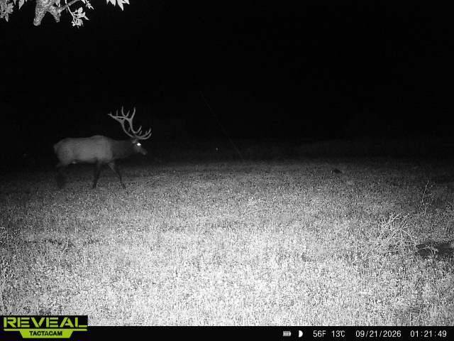 339 acres in Lyman County, SD: hunting land for sale near Lower Brule, SD