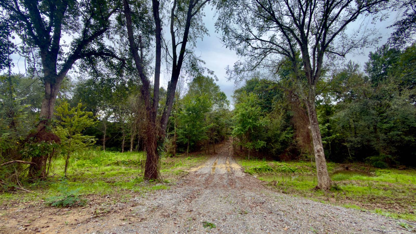 5-Acre Hunting Land for Sale, Vinton County, OH, photo 2 of 56