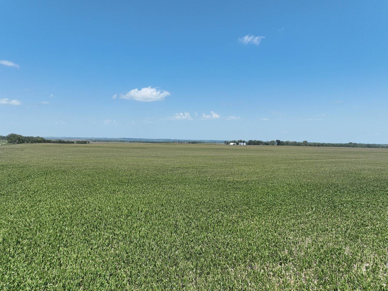 Photo 13 of 14 of land listing at 833 Rd, Stanton, NE 68779