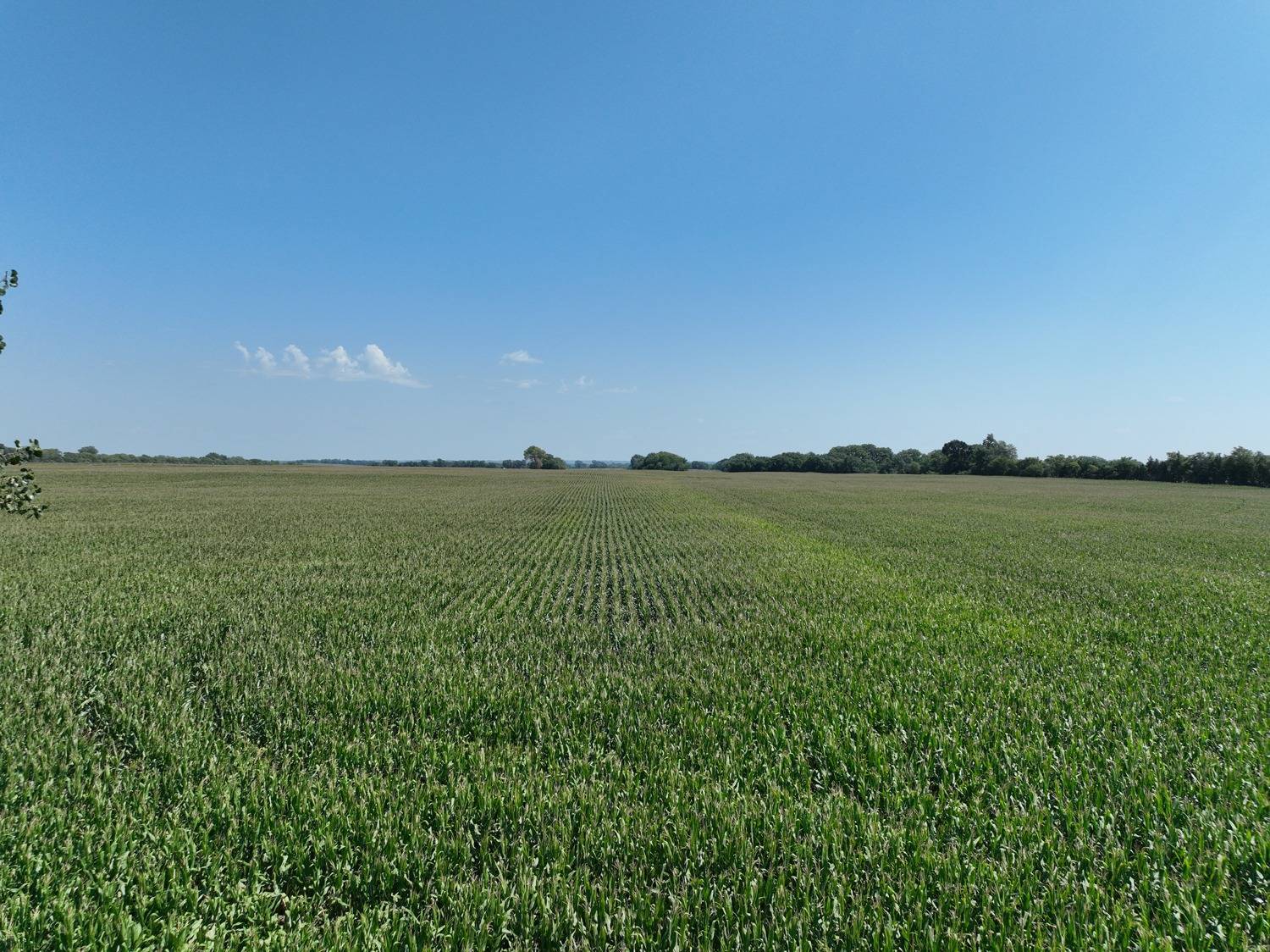 Photo 1 of 14 of land listing at 833 Rd, Stanton, NE 68779