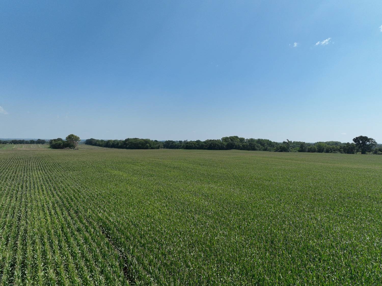 Photo 8 of 14 of land listing at 833 Rd, Stanton, NE 68779