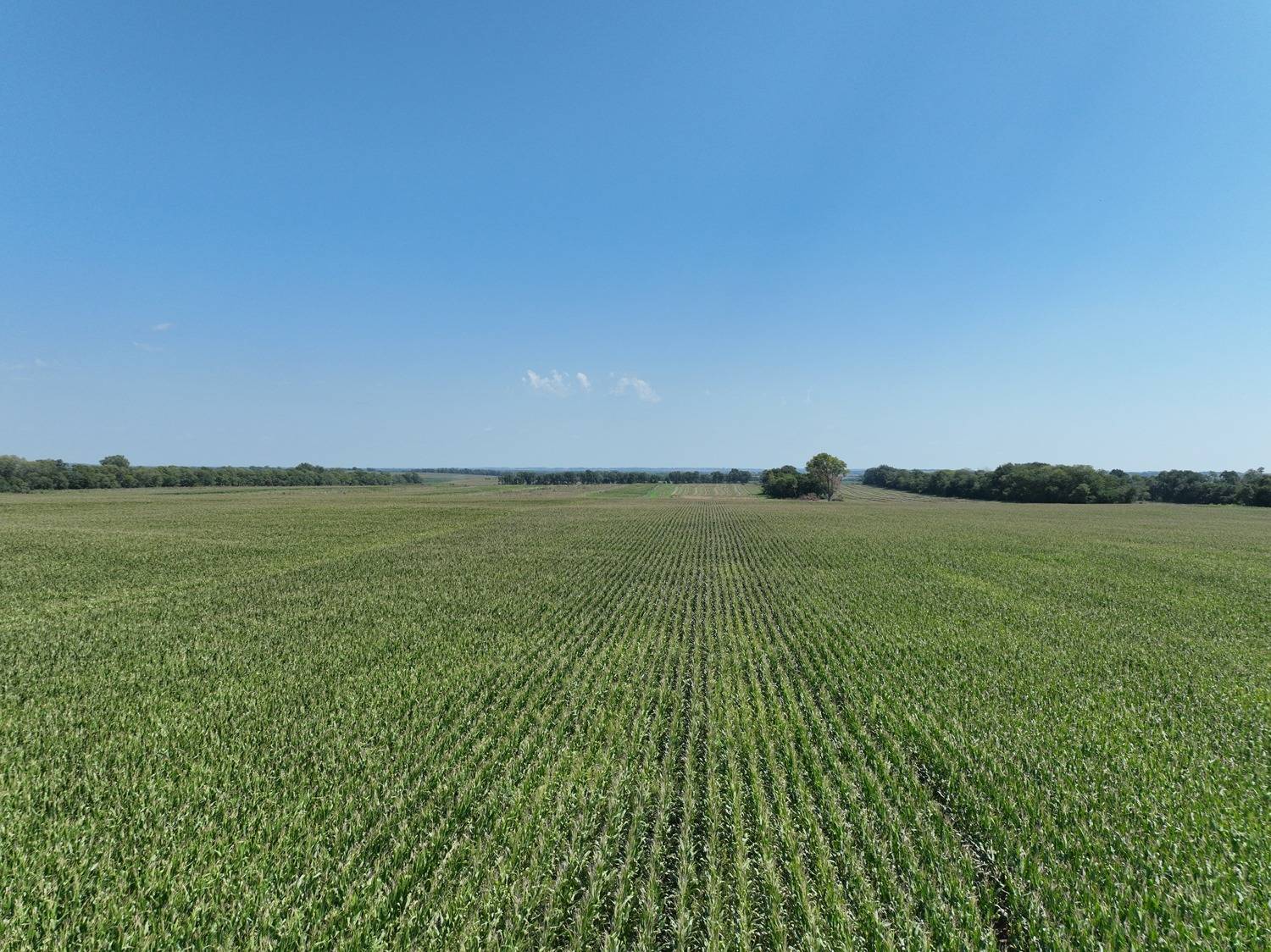 Photo 7 of 14 of land listing at 833 Rd, Stanton, NE 68779
