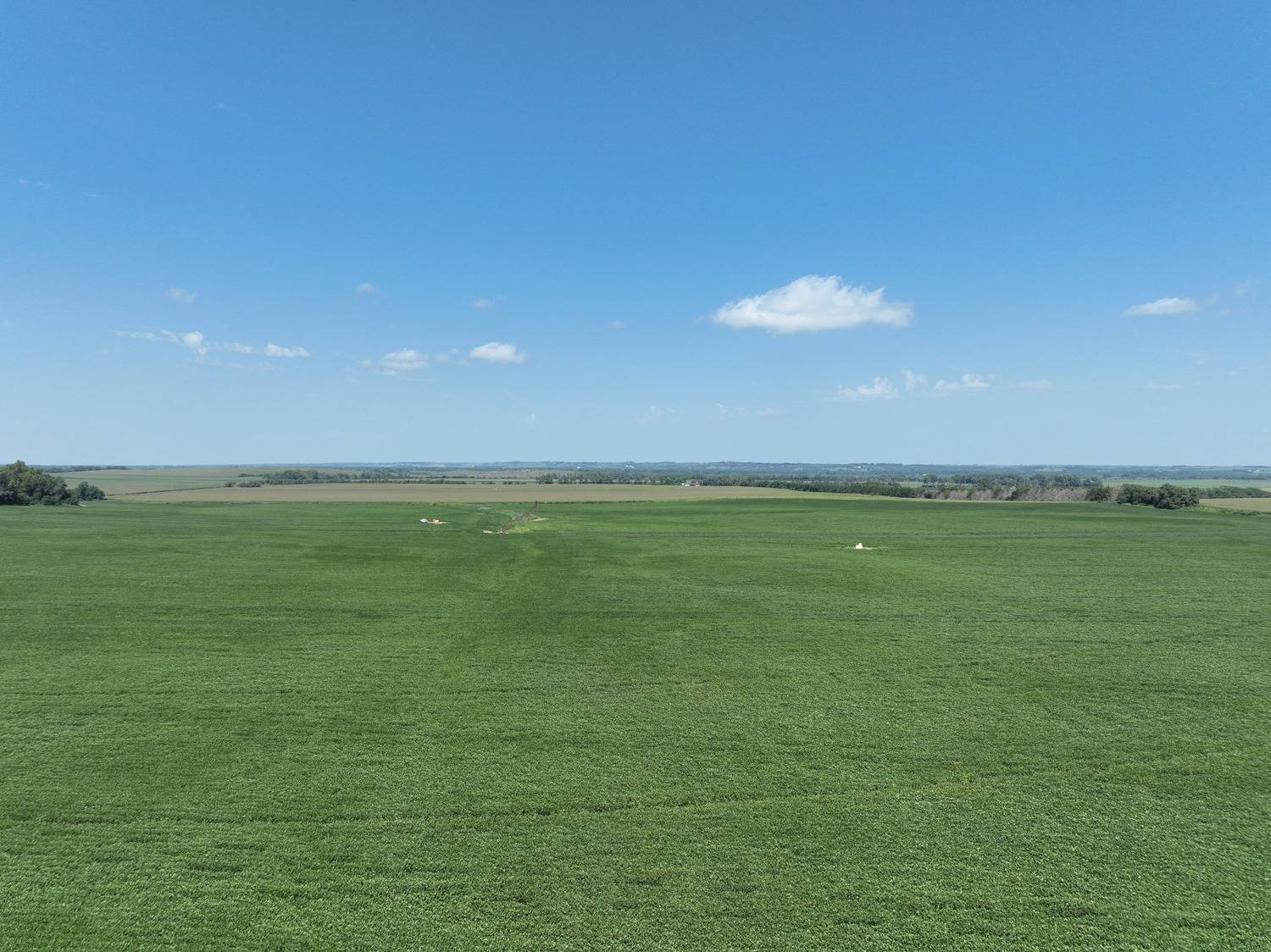 Photo 5 of 14 of land listing at 833 Rd, Stanton, NE 68779