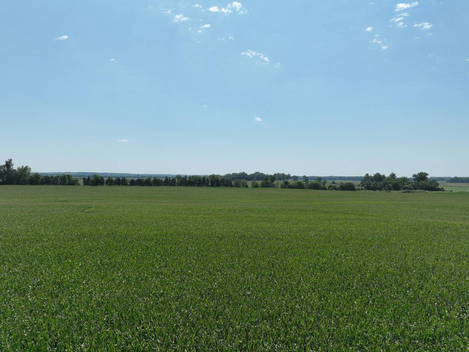 Photo 9 of 14 of land listing at 833 Rd, Stanton, NE 68779