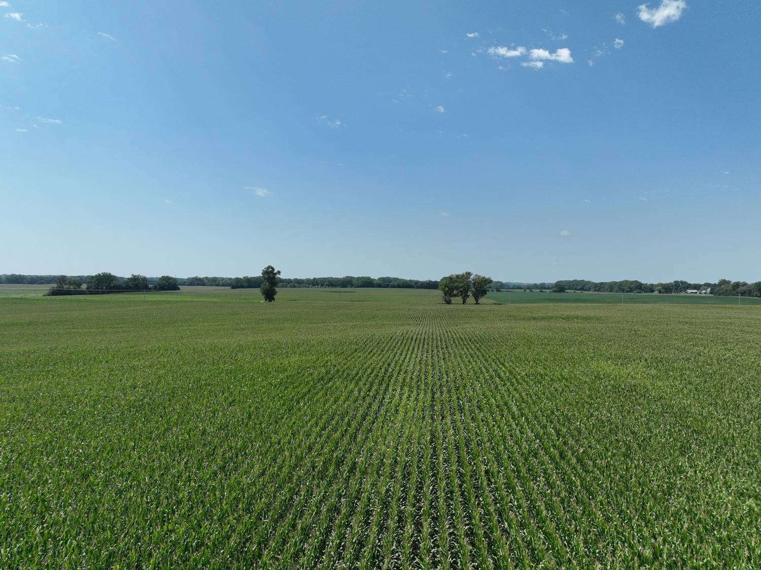 Photo 10 of 14 of land listing at 833 Rd, Stanton, NE 68779