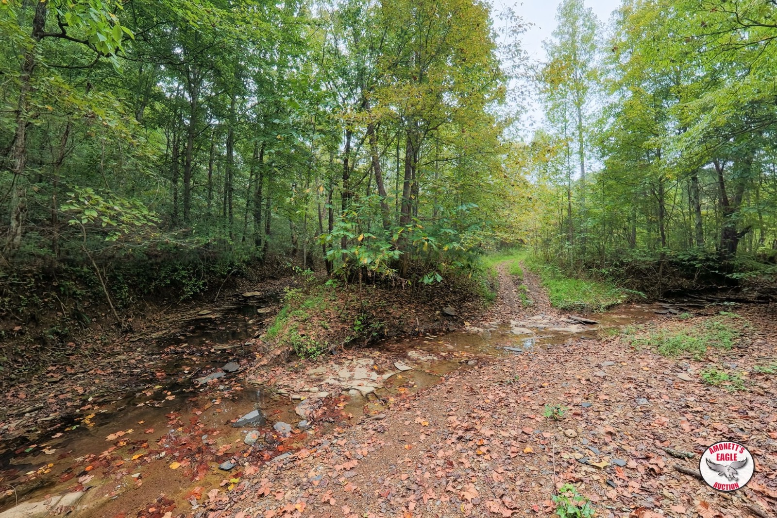– Off of Luther Shepard Rd.