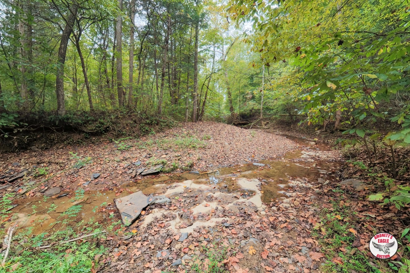 – Off of Luther Shepard Rd.