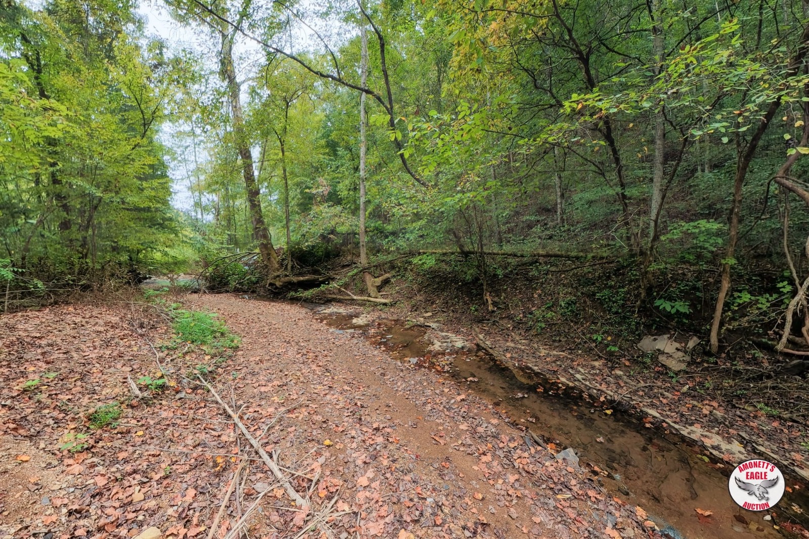 – Off of Luther Shepard Rd.