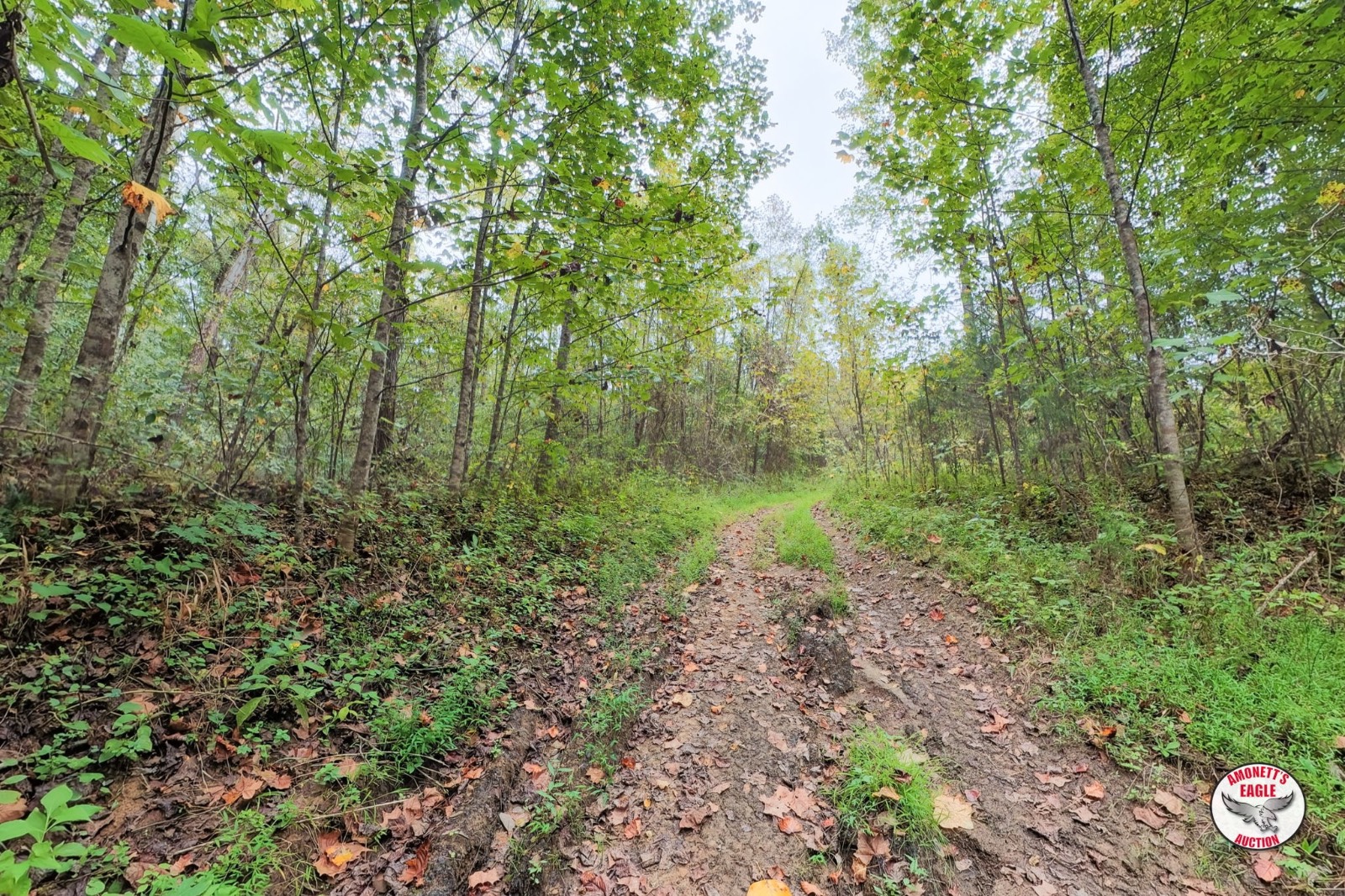 – Off of Luther Shepard Rd.