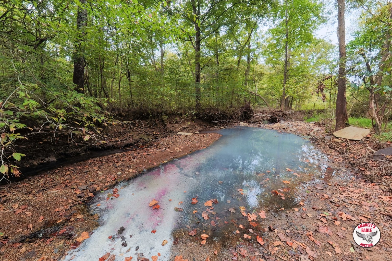 – Off of Luther Shepard Rd.