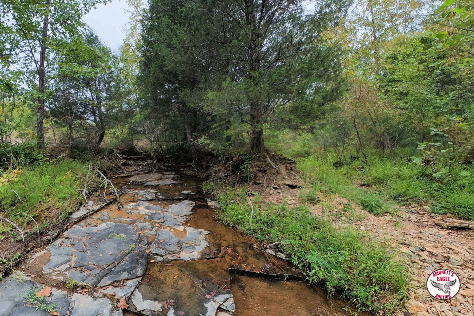 – Off of Luther Shepard Rd.