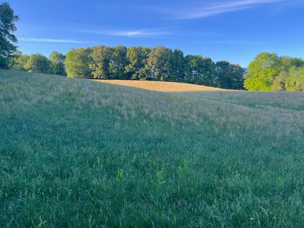 Lots 11-14 Long Hollow Acres
