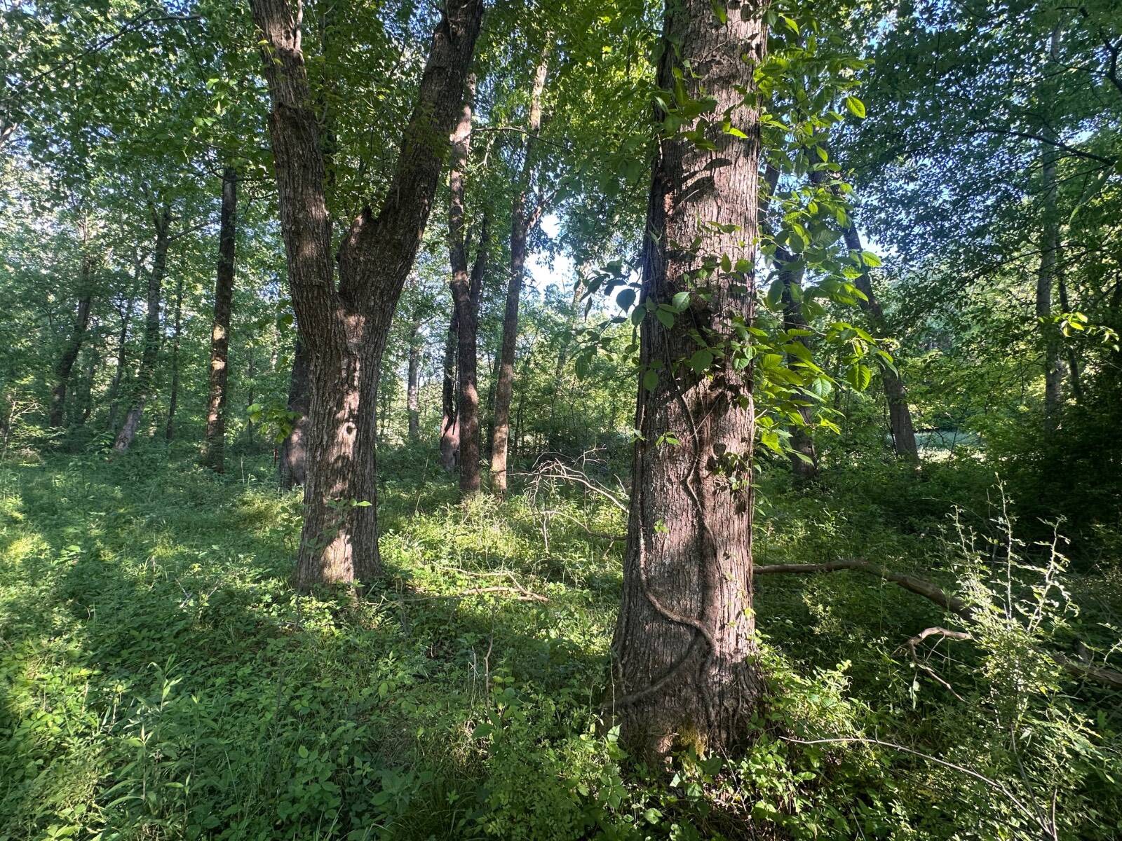 Lots 11-14 Long Hollow Acres