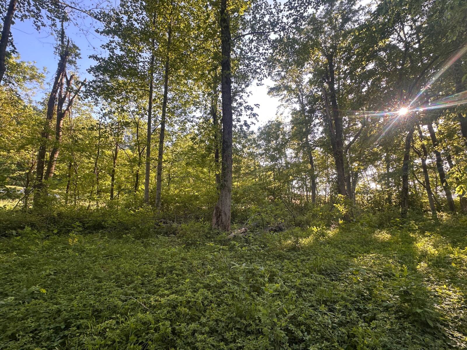 Lots 11-14 Long Hollow Acres