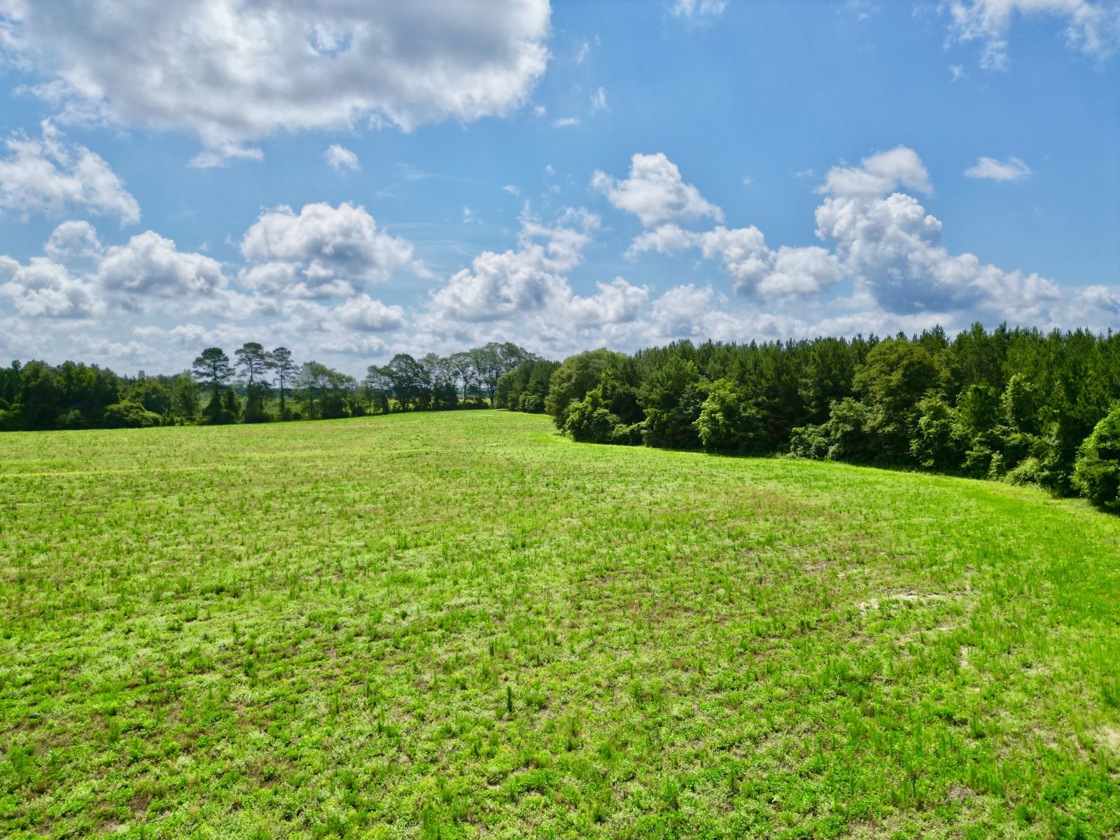 Photo 1 of 8 of land for sale at 00 US HWY 231 #7, Brundidge, AL 36010