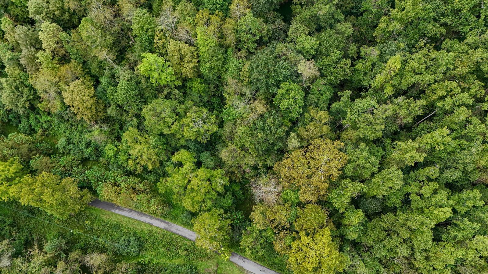 Photo 1 of 10 of land for sale at 1055 River St, Gassaway, WV 26624