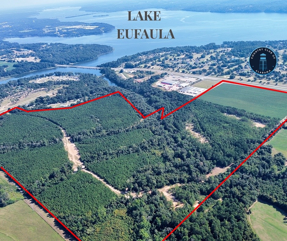 Photo 1 of 23 of land for sale at 0 HWY 431, Eufaula, AL 36027