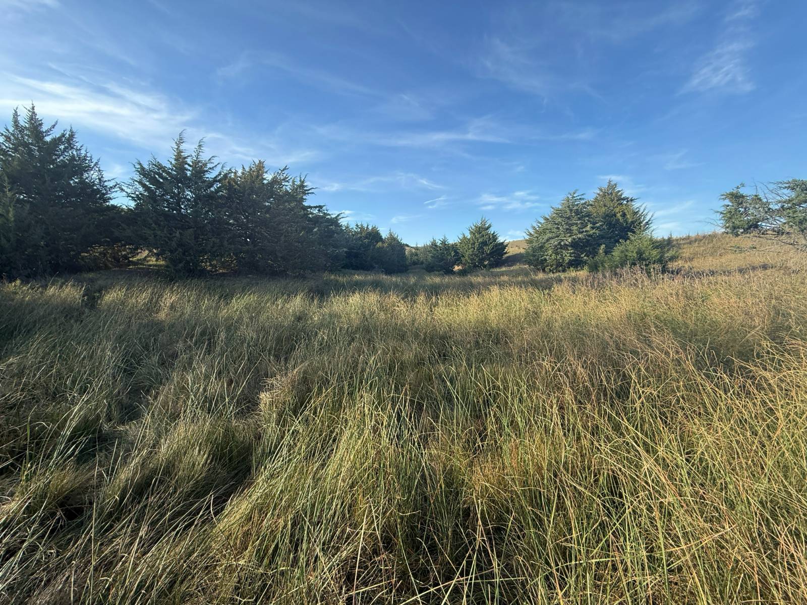 Photo 14 of 35 of land listing at 190.34+/- Acres, Holt County, Lynch, NE 68746