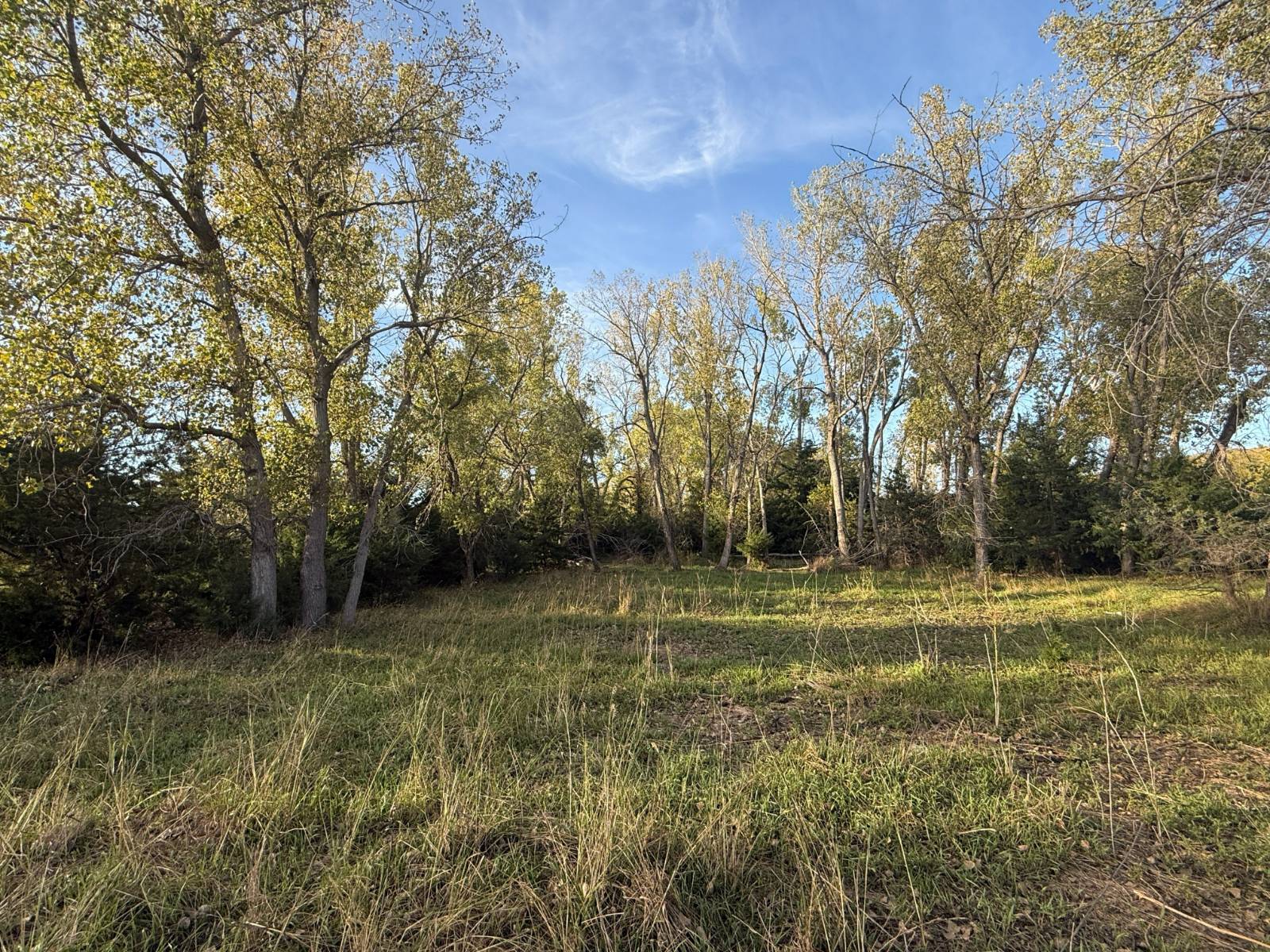 Photo 17 of 35 of land listing at 190.34+/- Acres, Holt County, Lynch, NE 68746