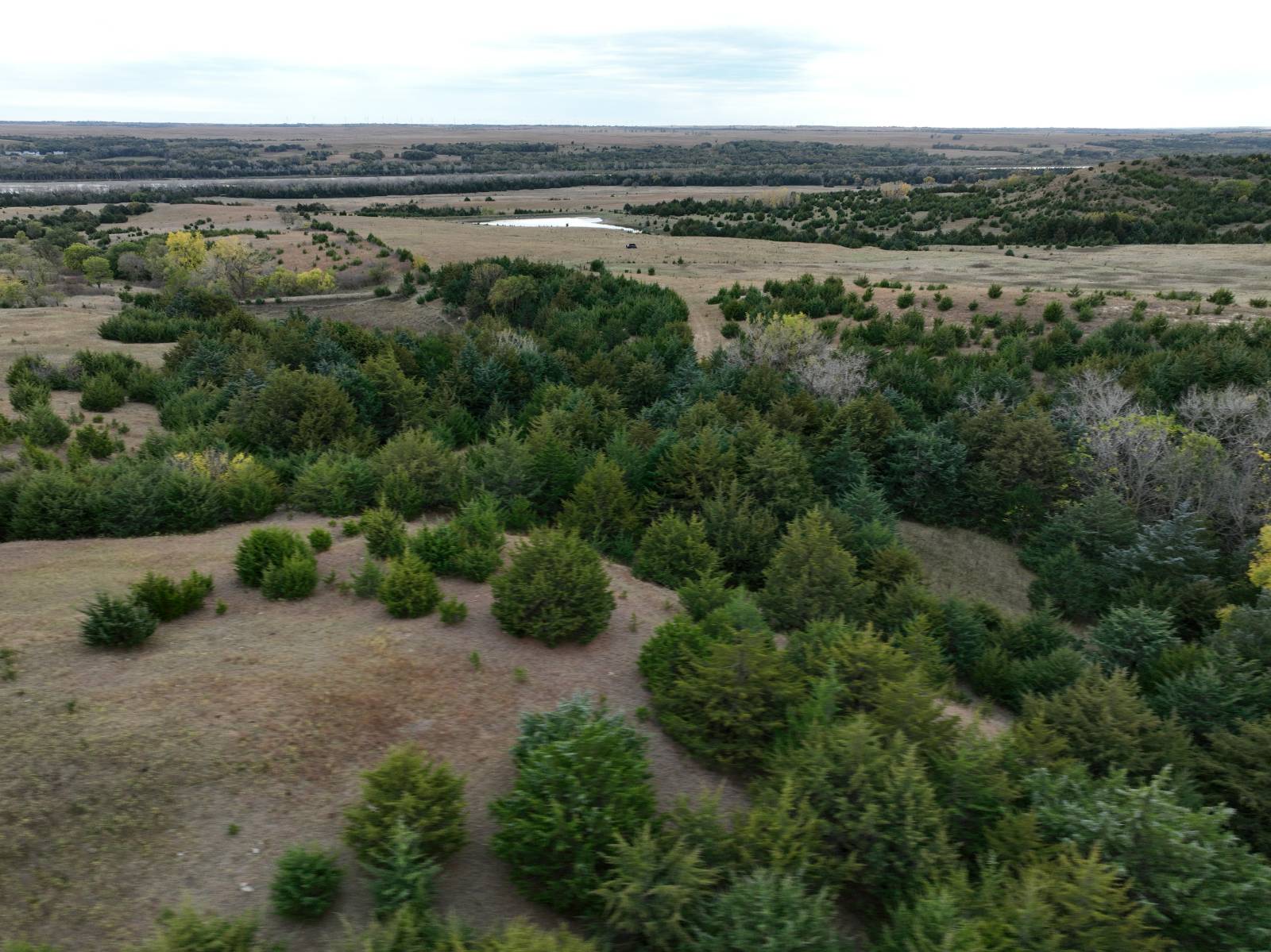Photo 28 of 35 of land listing at 190.34+/- Acres, Holt County, Lynch, NE 68746