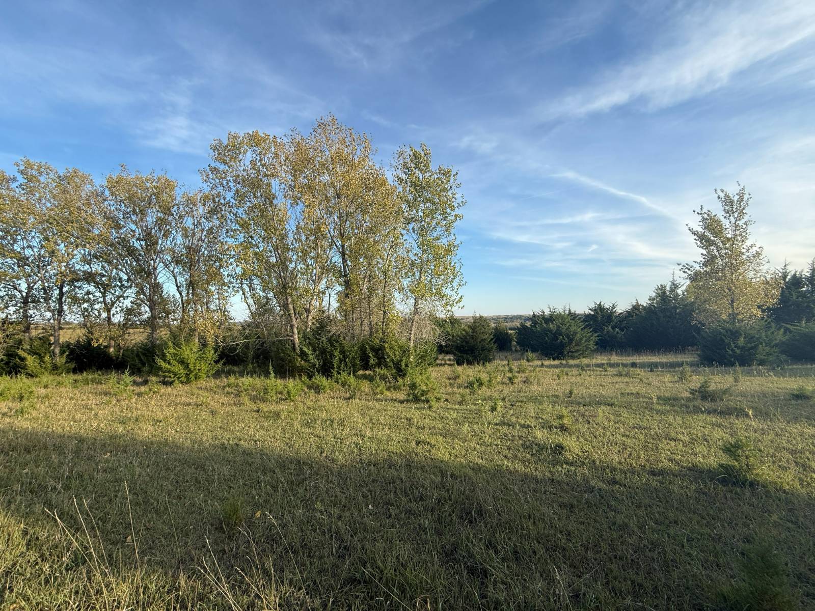 Photo 15 of 35 of land listing at 190.34+/- Acres, Holt County, Lynch, NE 68746