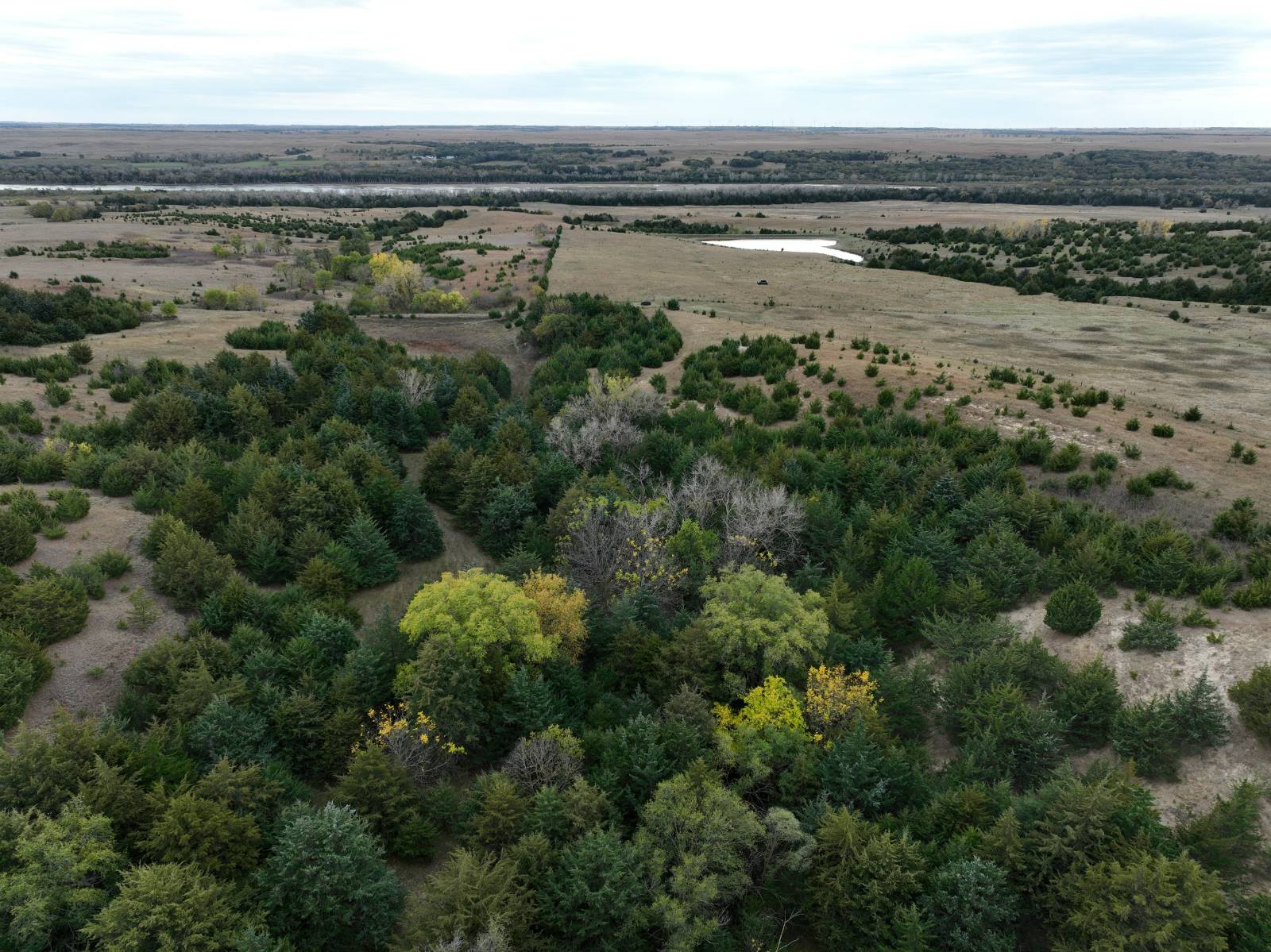 Photo 31 of 35 of land listing at 190.34+/- Acres, Holt County, Lynch, NE 68746