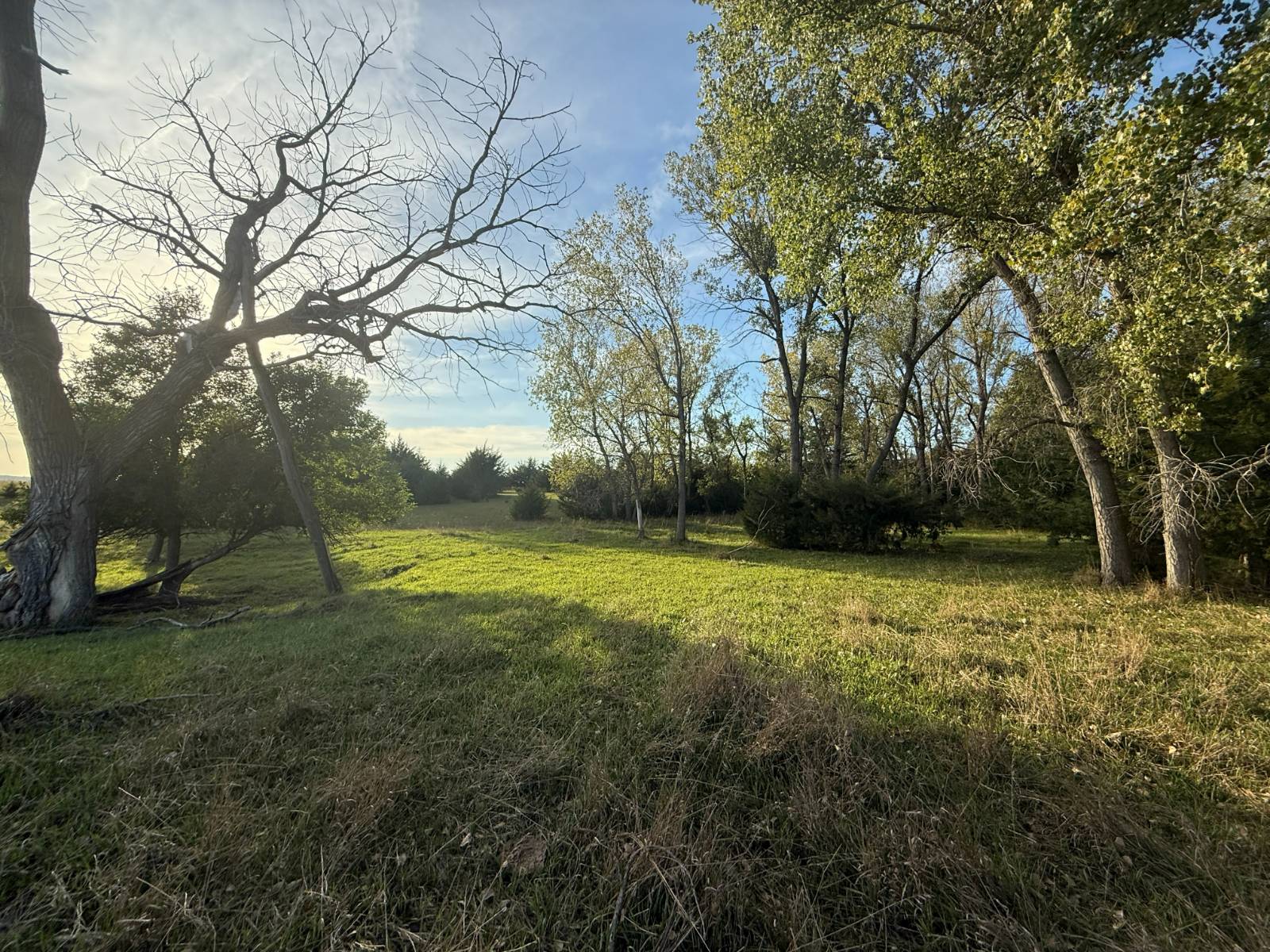 Photo 16 of 35 of land listing at 190.34+/- Acres, Holt County, Lynch, NE 68746