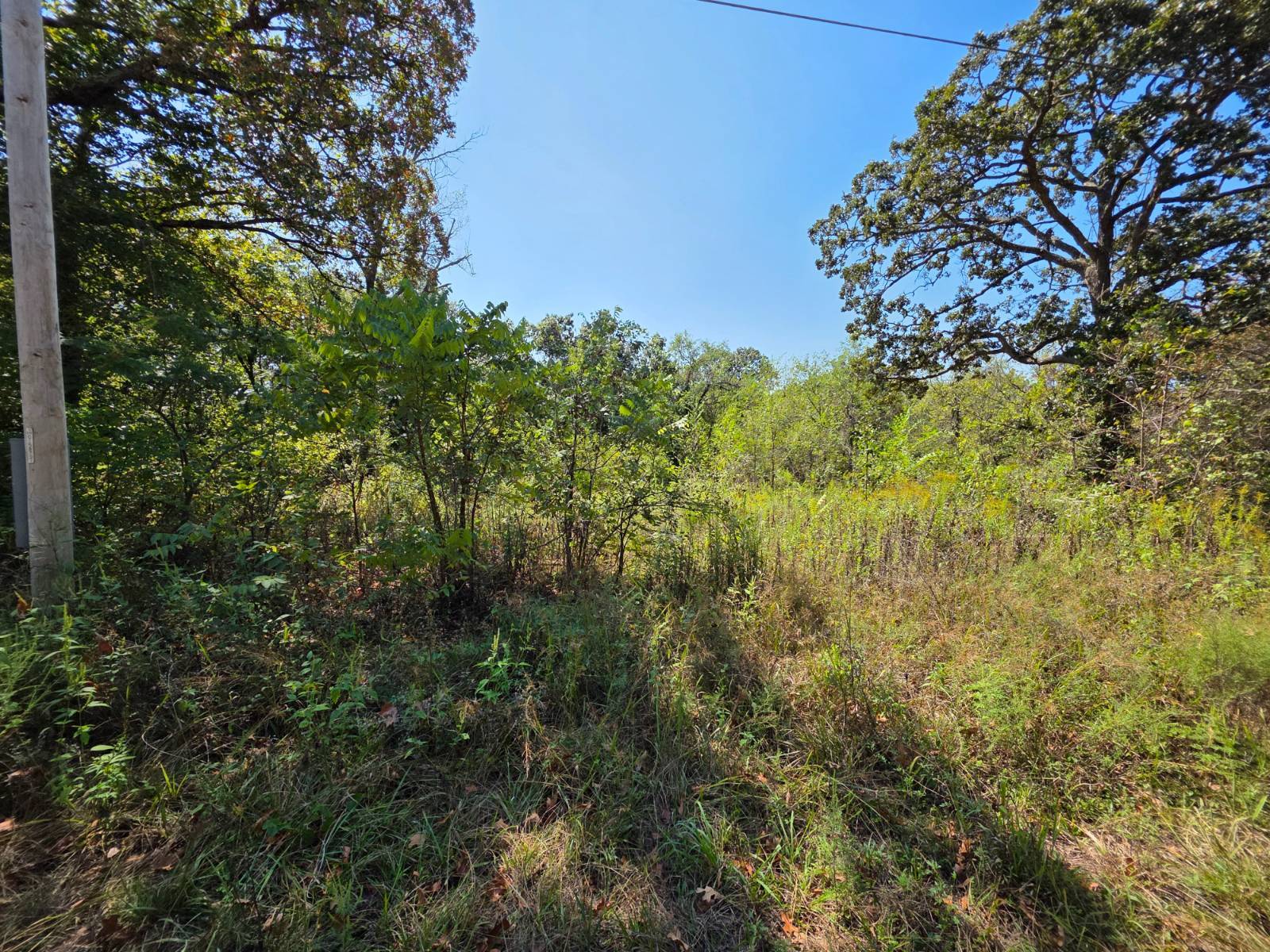 Photo 1 of 7 of land for sale at 000 E Abbott Road, Schell City, MO 64783