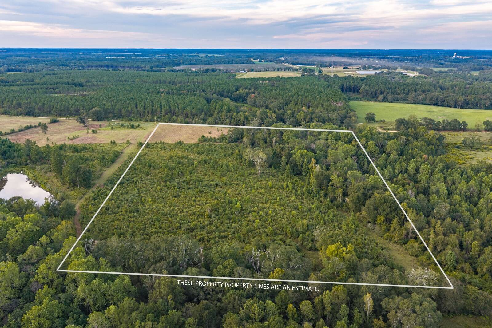 21.3 acres in Coffee County, AL: hunting land for sale near Coffee Springs, AL