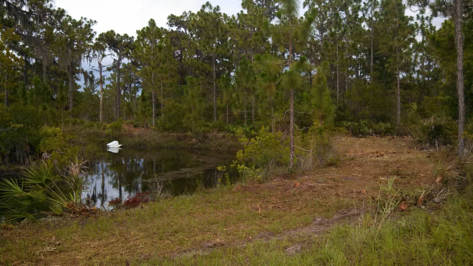 7905 241st E St, Myakka City, FL 34251