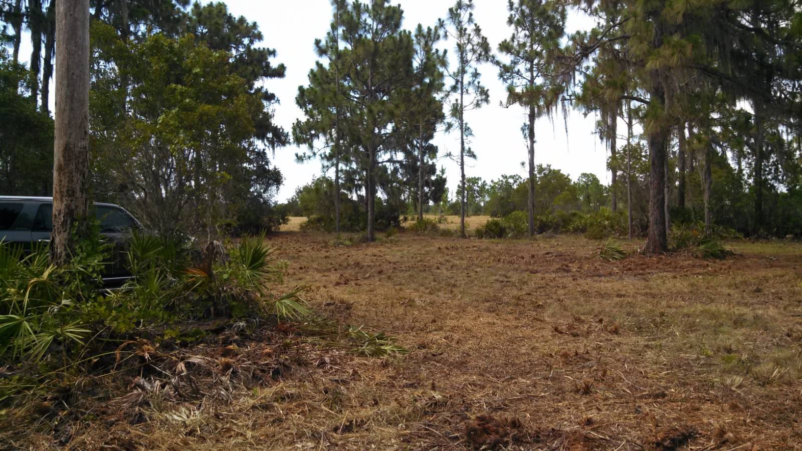 7905 241st E St, Myakka City, FL 34251