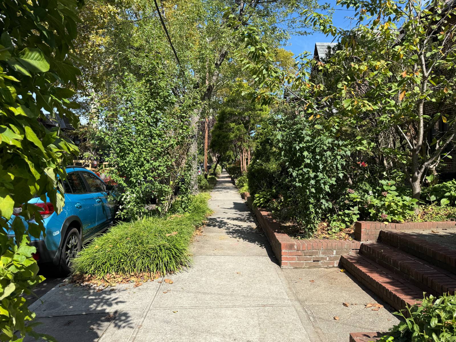 29-37 167 STREET