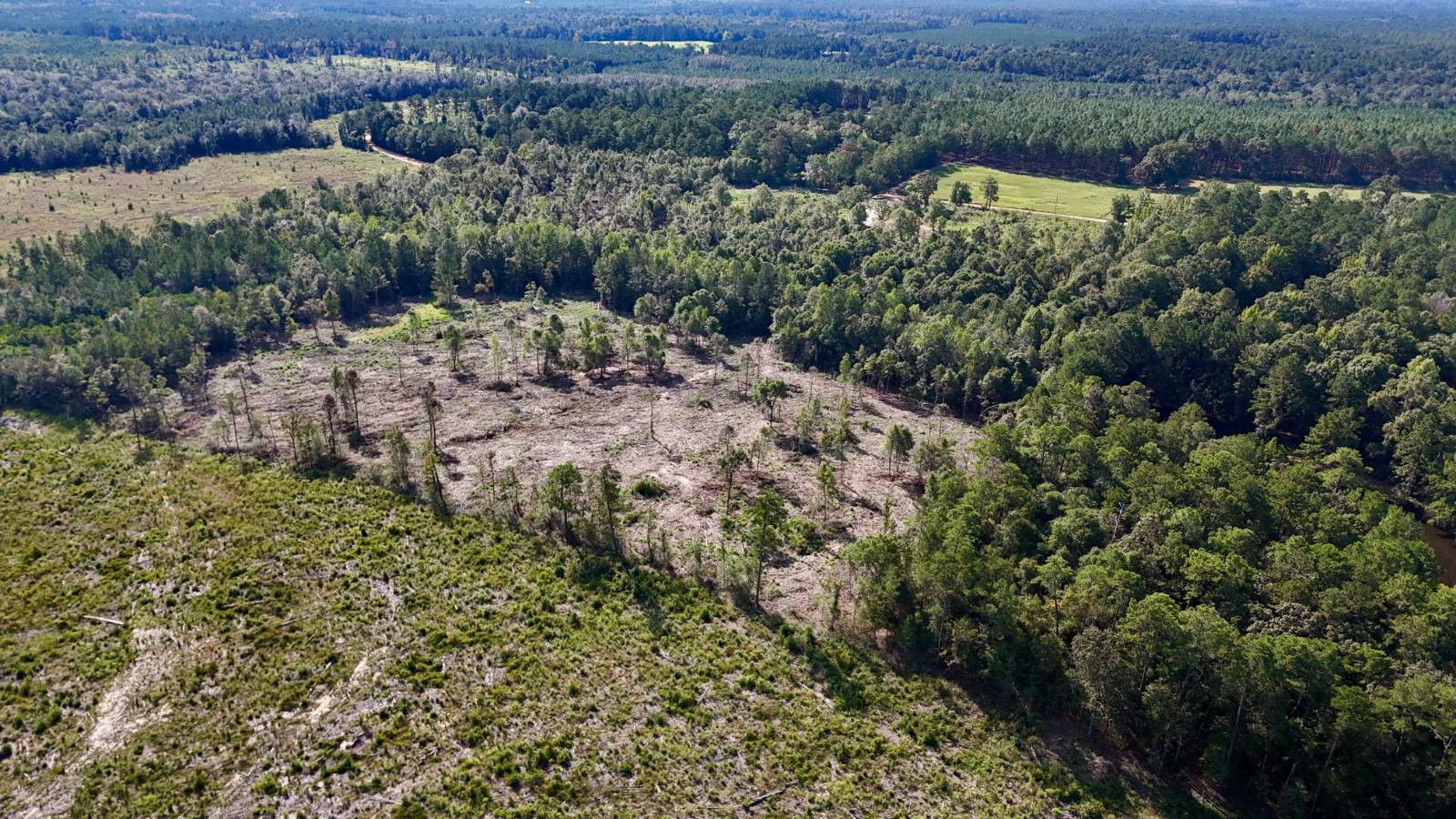 40-Acre Hunting Land for Sale, Greene County, MS, photo 2 of 41