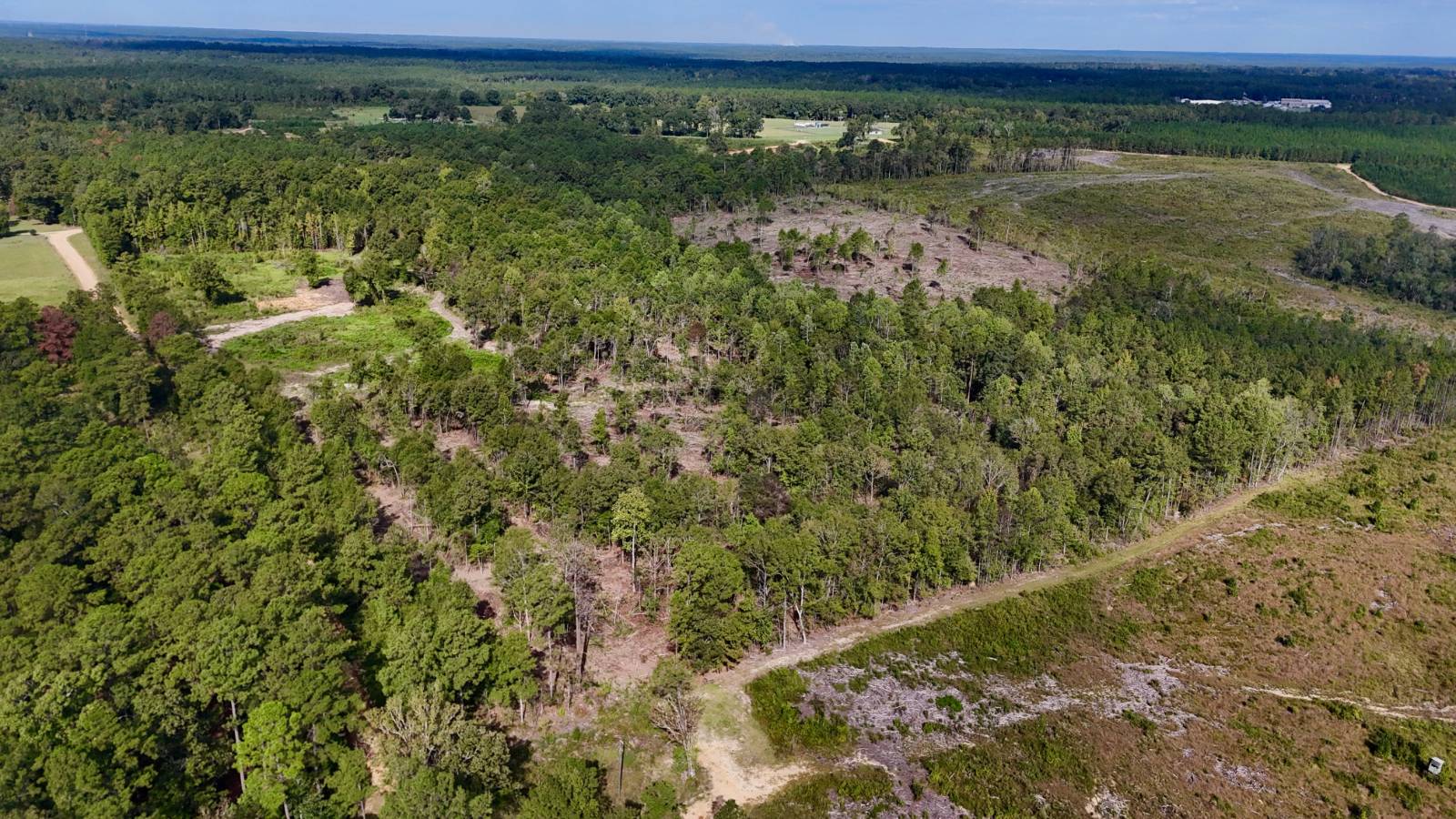 40 acres in Greene County, MS: hunting land for sale near Leakesville, MS