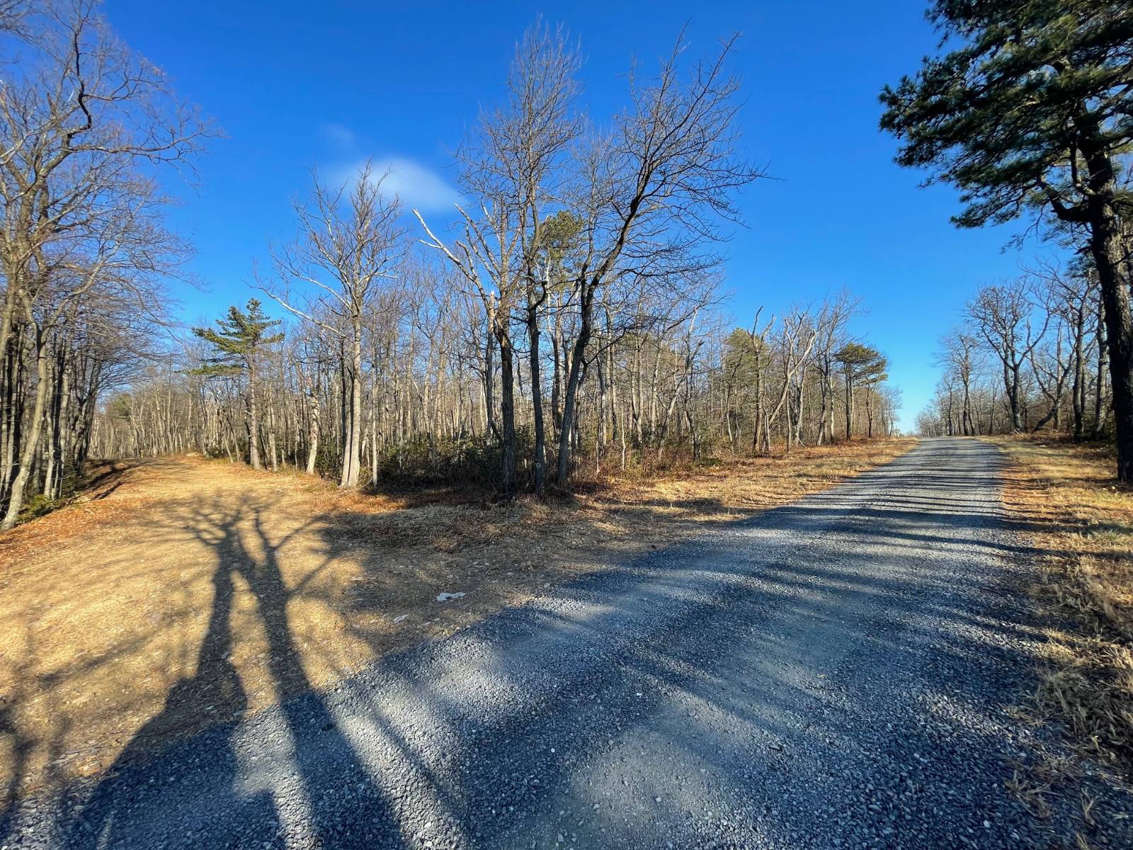 Photo 3 of 3 of land for sale at B++ Budwood Trail #L156 P8 523, Winchester, VA 22602