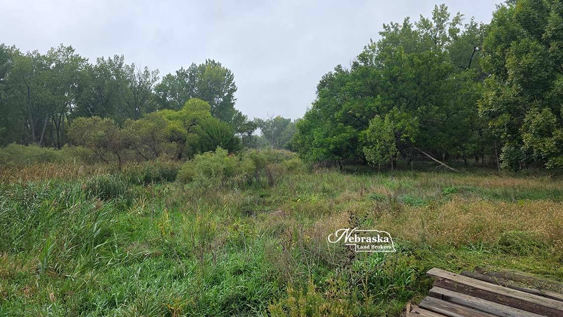 Photo 47 of 56 of farm or ranch property listing at 1365 N Wild Rose Road, Hershey, NE 69143